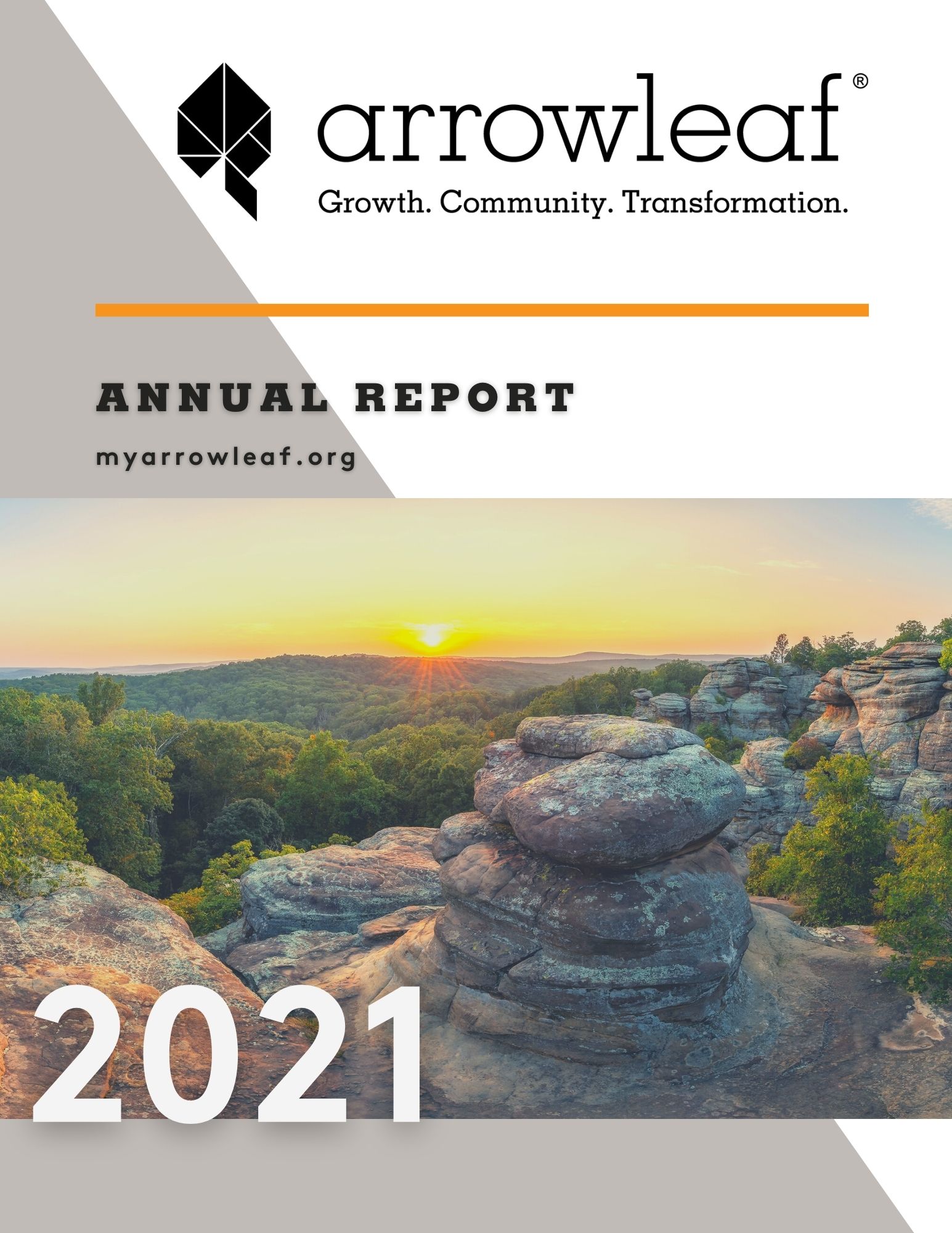 Arrowleaf Annual Report FY 2020 Cover Image